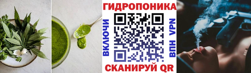 ОМГ ОМГ как войти  Полысаево  Печенье с ТГК конопля 